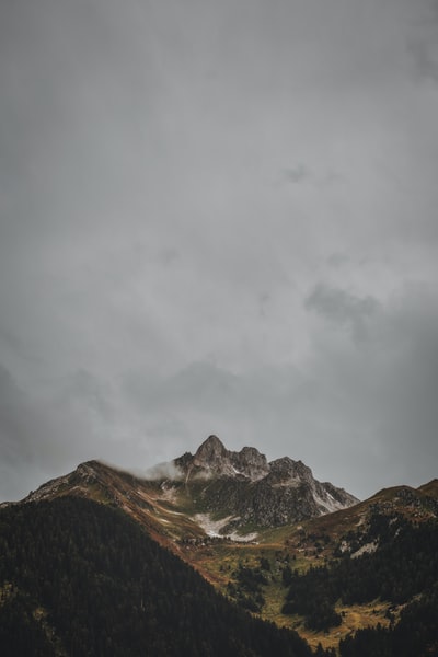 鸟瞰的森林山
